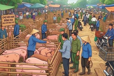 Giá heo hơi hôm nay 4/9: Ổn định sau nghỉ lễ Quốc khánh, duy trì trong vùng giá 56.000 - 59.000 đồng/kg