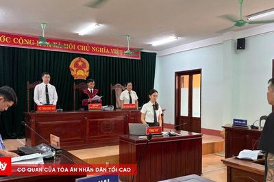 Mua bán hàng trăm bình khí cười, 3 cha con lĩnh án