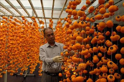 Hợp tác song phương về nông nghiệp công nghệ cao hướng tới đồng sáng tạo