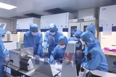 NQ 57- Bài toán đưa tế bào gốc trung mô vào điều trị lâm sàng