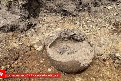 Chủ nhà tình cờ phát hiện kho báu bạc thời Viking lớn nhất Đan Mạch khi đào vườn
