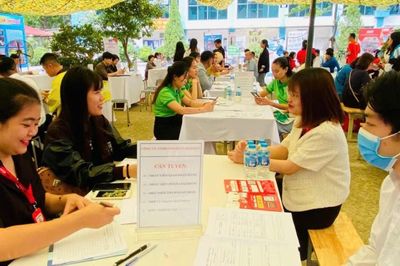 Dự kiến bãi bỏ toàn bộ thủ tục hành chính về dịch vụ việc làm
