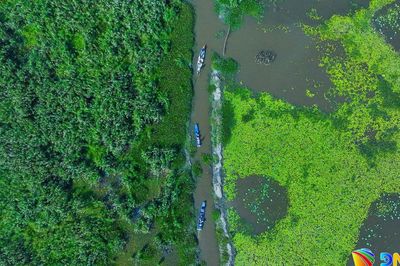 Giữ gìn hệ sinh thái Sông Đầm để mở sinh kế