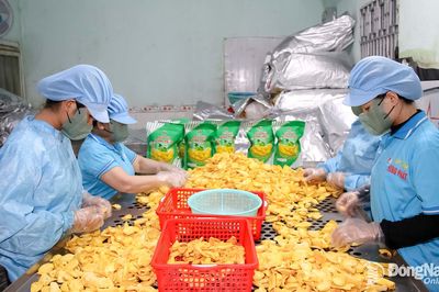 Hỗ trợ doanh nghiệp nâng cao năng suất, chất lượng
