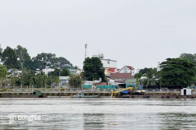 Khả năng lũ trên sông Đồng Nai lên mức báo động 2
