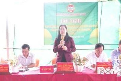 Ban Thường vụ Hội Nông dân tỉnh Đồng Tháp: Gặp gỡ lắng nghe ý kiến của các cấp hội nông dân