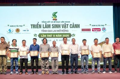 Bế mạc Liên hoan, triển lãm, hội thi Sinh vật cảnh tỉnh Gia Lai mở rộng lần thứ II