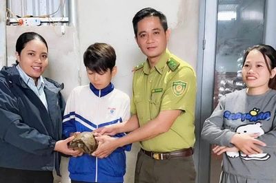 Học sinh ở xã Ia Hrú tự nguyện giao nộp rùa núi vàng