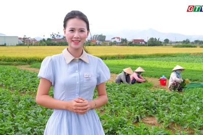 Làng rau Thuận Nghĩa: Màu xanh giữa miền quê đất võ