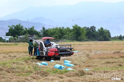 Khẩn trương hoàn thiện kế hoạch thực hiện chương trình mục tiêu quốc gia