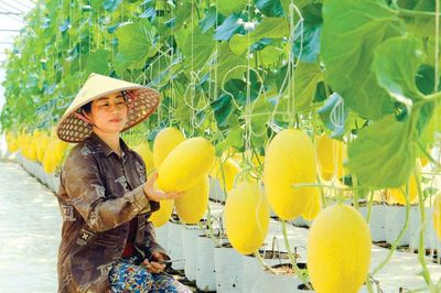 Nông sản Lâm Đồng 'cất cánh' cùng Vietnam Airlines