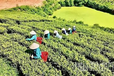 Đường lớn cho kinh tế tư nhân - Kỳ 2: Khơi dòng nguồn lực