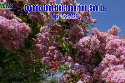 Dự báo thời tiết toàn tỉnh Sơn La ngày 5/9/2026