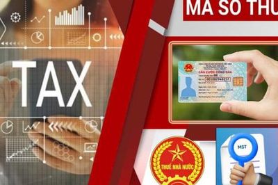 Gần 95.000 doanh nghiệp, tổ chức hoàn tất chấm dứt hiệu lực mã số thuế