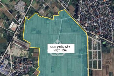 Hải Phòng: Công ty TNHH Tân Hưng thuê hơn 226.000m2 đất để thực hiện dự án