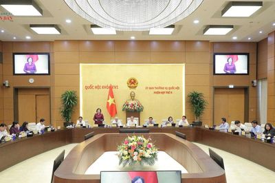 Mở rộng đối tượng được cung cấp dịch vụ kế toán
