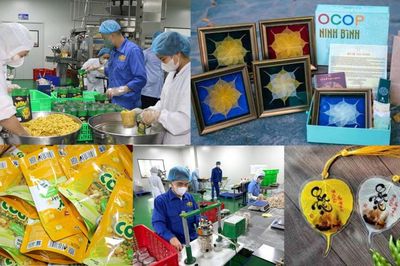 Nông sản chuẩn OCOP giúp doanh nghiệp tỉnh Ninh Bình thu tiền tỷ