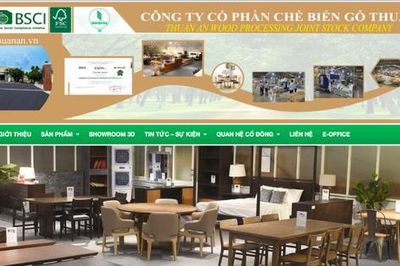 Chế biến Gỗ Thuận An (GTA) dự chi hơn 3,4 tỷ đồng tiền trả cổ tức năm 2025