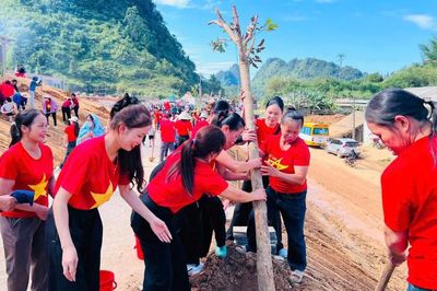 Sẵn sàng khởi đầu năm học với nền tảng vững chắc
