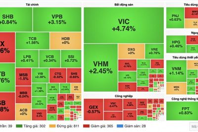 Chứng khoán 04/9: VN-Index vượt 1.850 điểm, cổ phiếu vẫn phân hóa
