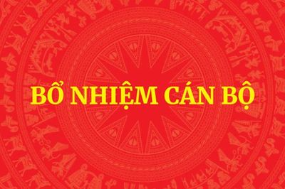 Thủ tướng bổ nhiệm 3 Thứ trưởng và 2 Phó Tổng Thanh tra Chính phủ