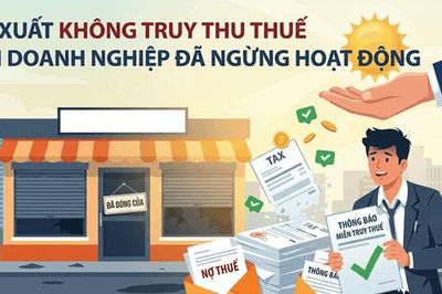 Nghiên cứu cơ chế tháo gỡ cho doanh nghiệp, hộ kinh doanh 'mắc kẹt' mã số thuế
