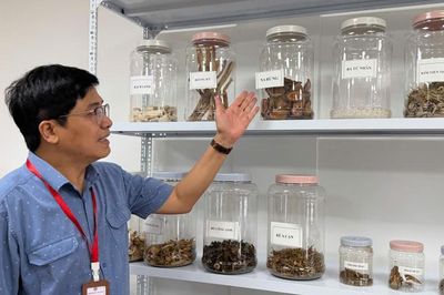 Cách nào phát triển dược liệu sạch, mở hướng nâng tầm giá trị y học cổ truyền?