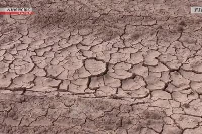 Tổ chức Khí tượng Thế giới dự báo ra sao về hiện tượng El Nino?