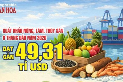 Gần 50 tỉ USD sau 8 tháng: Xuất khẩu nông, lâm, thủy sản tăng mạnh
