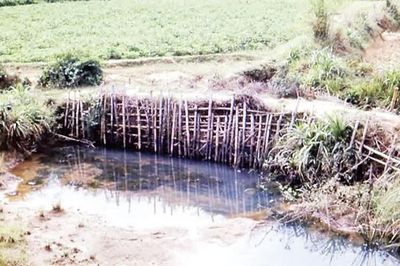 Khoanh vùng tìm mộ tập thể liệt sĩ