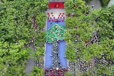 Thông điệp 'Đất nuôi cây-Giá trị nuôi người' trong ngày khai giảng
