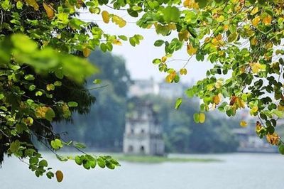 Thời tiết hôm nay (5-9): Bắc Bộ ngày nắng, Trung Bộ và Nam Bộ có mưa dông