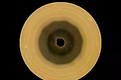 Hubble hé lộ hình thập giác kỳ lạ trên cực nam của Sao Thổ