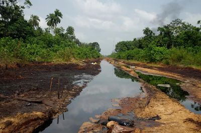 Thông tin vụ gần 40 người tử vong do hít phải khí độc ở Nigeria