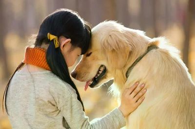 Chó có thể cảnh báo người mắc POTS trước khi họ xuất hiện triệu chứng