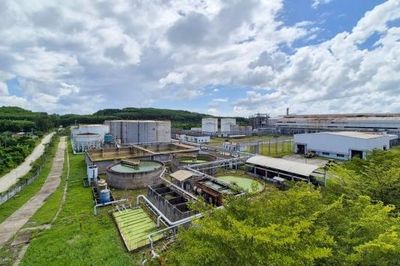 BSR-BF tìm kiếm đối tác phát triển và kinh doanh tín chỉ carbon