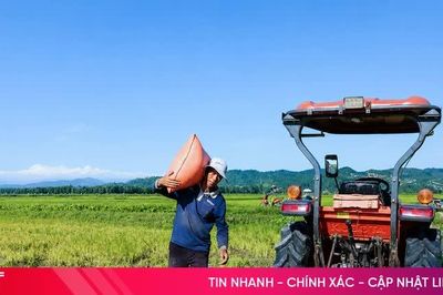 Hà Tĩnh thu hoạch hơn 98% diện tích lúa hè thu