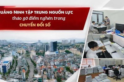 Quảng Ninh tập trung nguồn lực, tháo gỡ điểm nghẽn trong chuyển đổi số