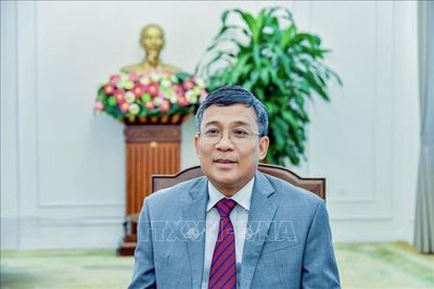 Tiếp tục đưa quan hệ Việt Nam với Hàn Quốc, Mông Cổ phát triển ngày càng thực chất, hiệu quả
