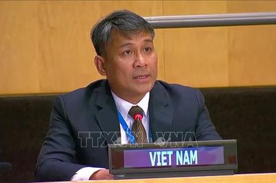 Tiếp tục đưa quan hệ Việt Nam với Hàn Quốc, Mông Cổ phát triển ngày càng thực chất, hiệu quả
