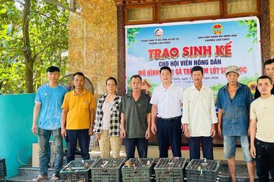 Phường Liên Chiểu hỗ trợ con giống cho hội viên nông dân