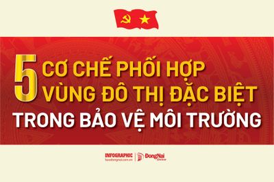 [Infographic] Luật Phát triển đô thị: 5 cơ chế phối hợp vùng đô thị đặc biệt trong bảo vệ môi trường