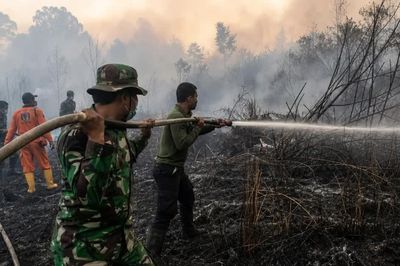 Cháy rừng gây khói mù nguy hiểm khắp Đông Nam Á: Indonesia rải 8.000 kg muối để khống chế đám cháy