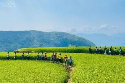 Giữ lớp, giữ ước mơ cho học trò