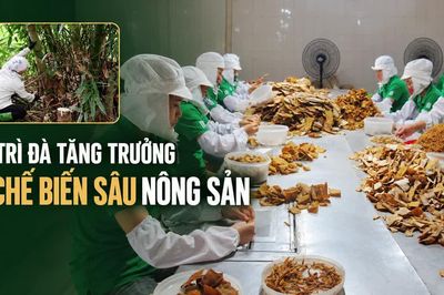 Duy trì đà tăng trưởng từ chế biến sâu nông sản