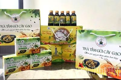 Đánh thức thương hiệu tầm gửi cây gạo