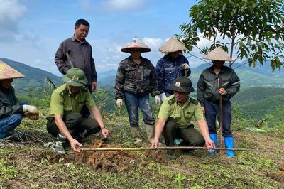 Tuyên Quang: Giữ rừng, bảo vệ màu xanh ở Bình Xa