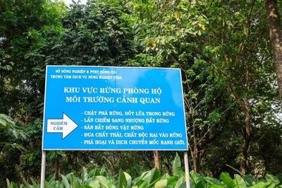 Nâng cao hiệu quả hoạt động Quỹ Môi trường Đồng Nai: Bài toán quỹ đất và trồng rừng thay thế: Thách thức trên hành trình xanh hóa Đồng Nai