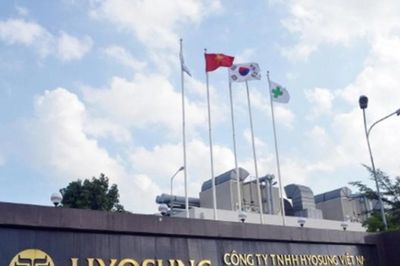 Vốn hơn 30.000 tỷ, lỗ lũy kế 21.566 tỷ: Hyosung Vina bắt đầu có lãi