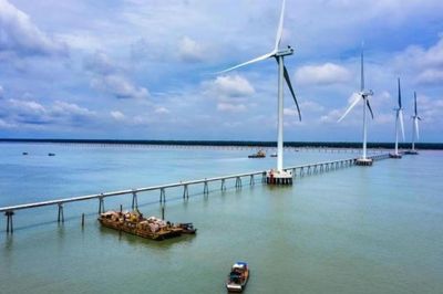 Cà Mau chấp thuận nhà đầu tư dự án Nhà máy điện gió Hòa Bình 4